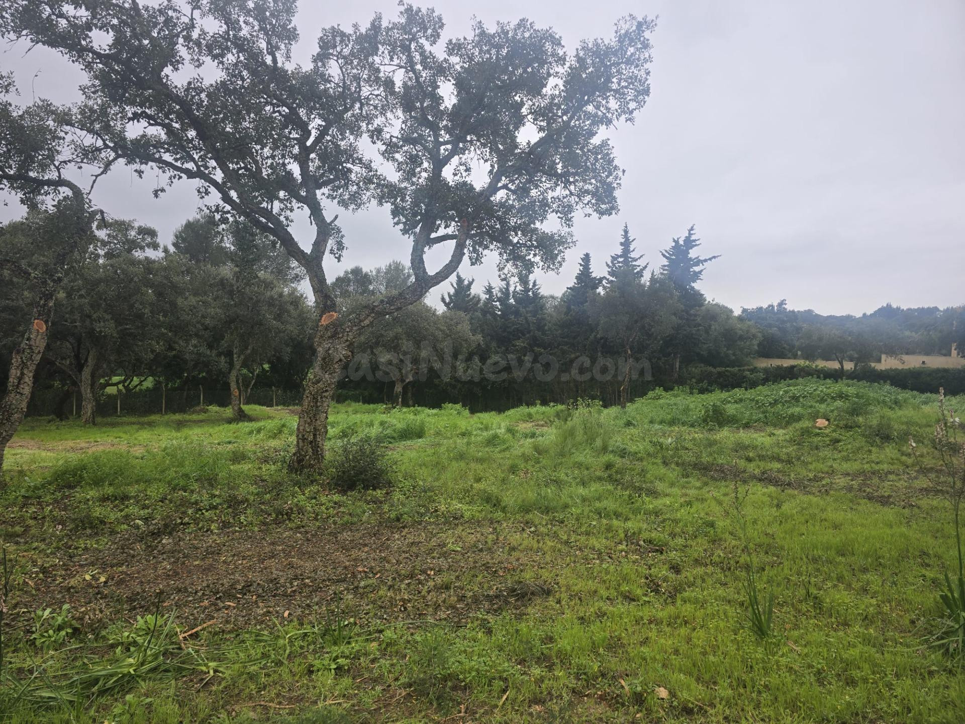 Exclusivas 4 parcelas urbanas en Sotogrande junto a Valderra - foto 2