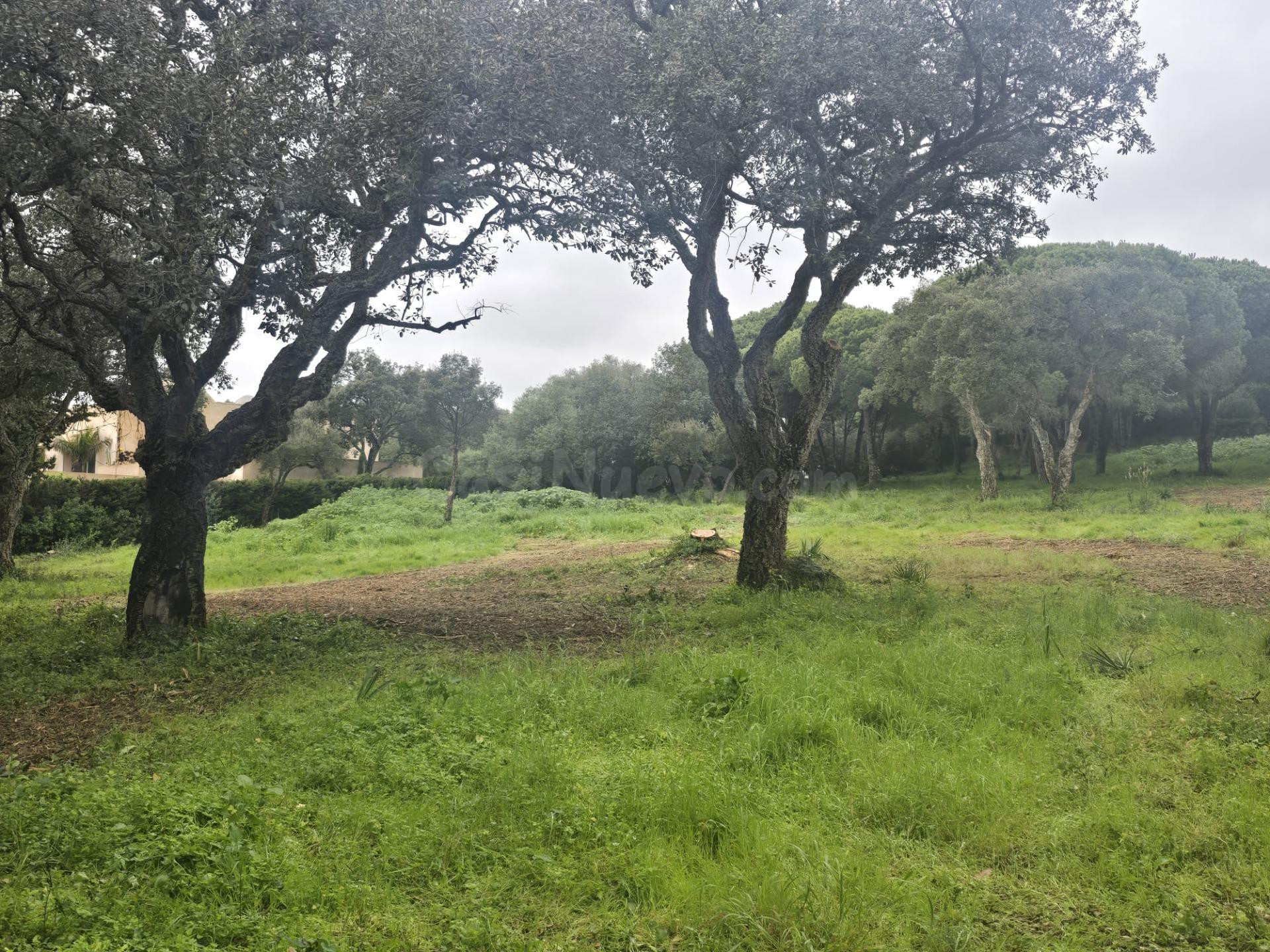 Exclusivas 4 parcelas urbanas en Sotogrande junto a Valderra - foto 3