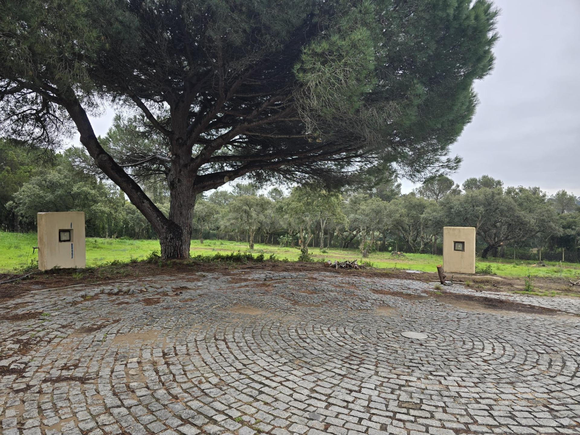 Exclusivas 4 parcelas urbanas en Sotogrande junto a Valderra - foto 5