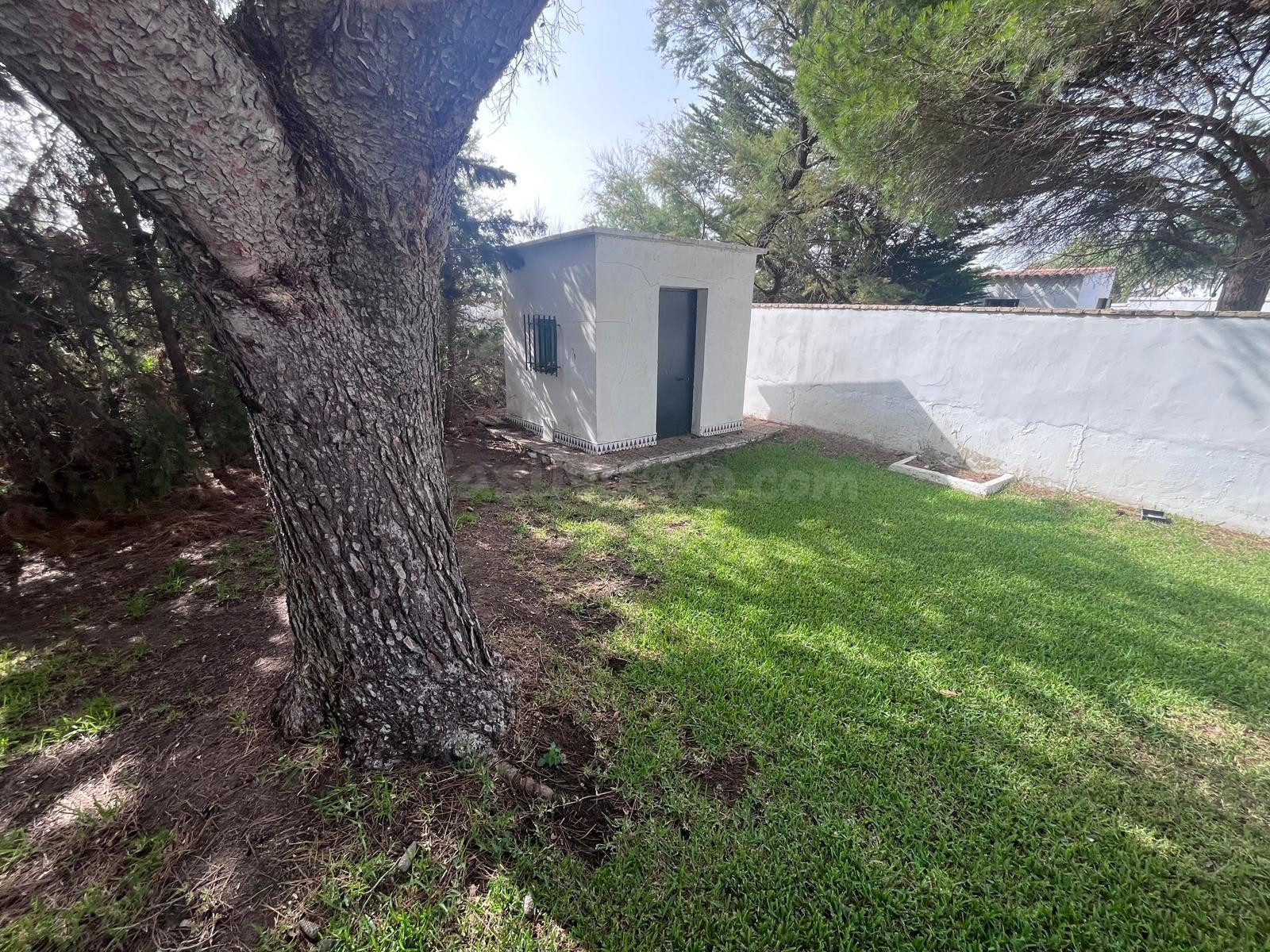 Chalet URBANO independiente con amplia parcela a solo 5 minu - foto 3