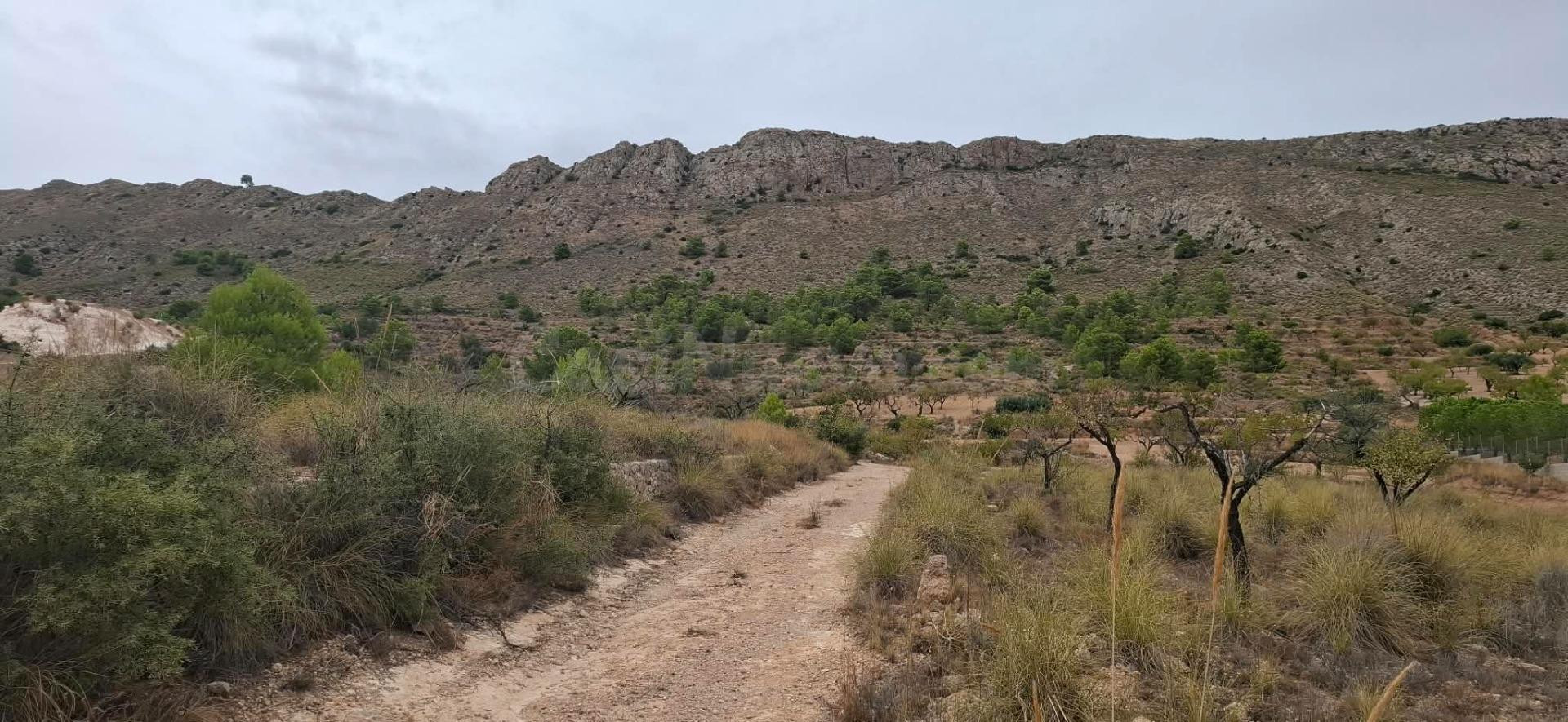 Oportunidad de Inversión en La Romana - Terreno Rústico con  - foto 2