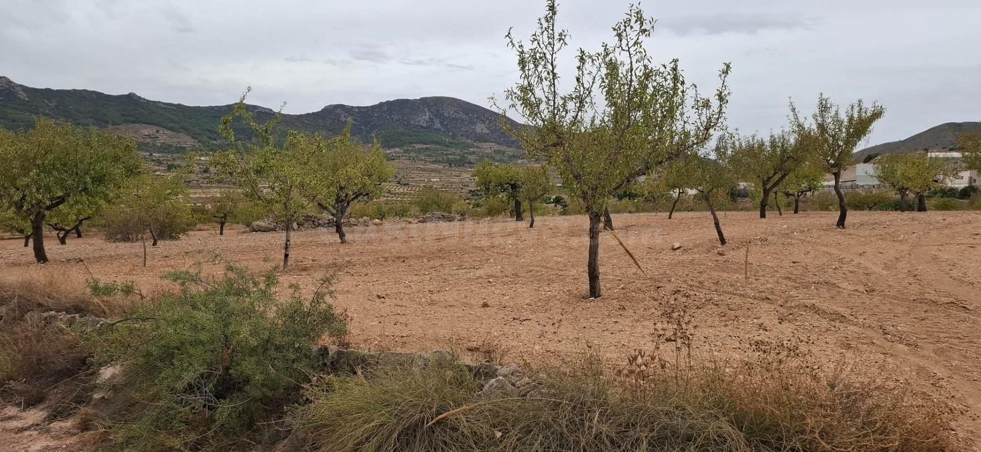 Oportunidad de Inversión en La Romana - Terreno Rústico con  - foto 3
