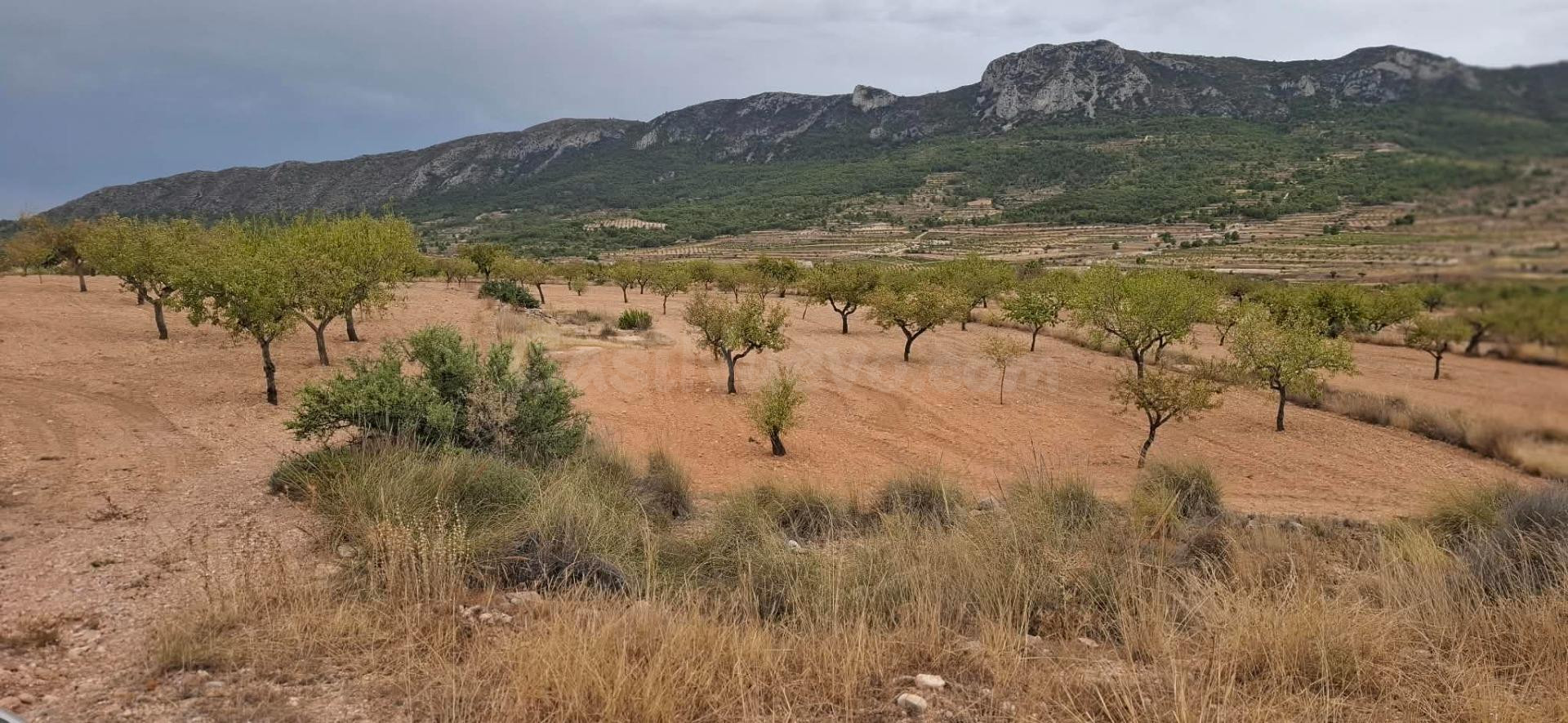 Oportunidad de Inversión en La Romana - Terreno Rústico con  - foto 4