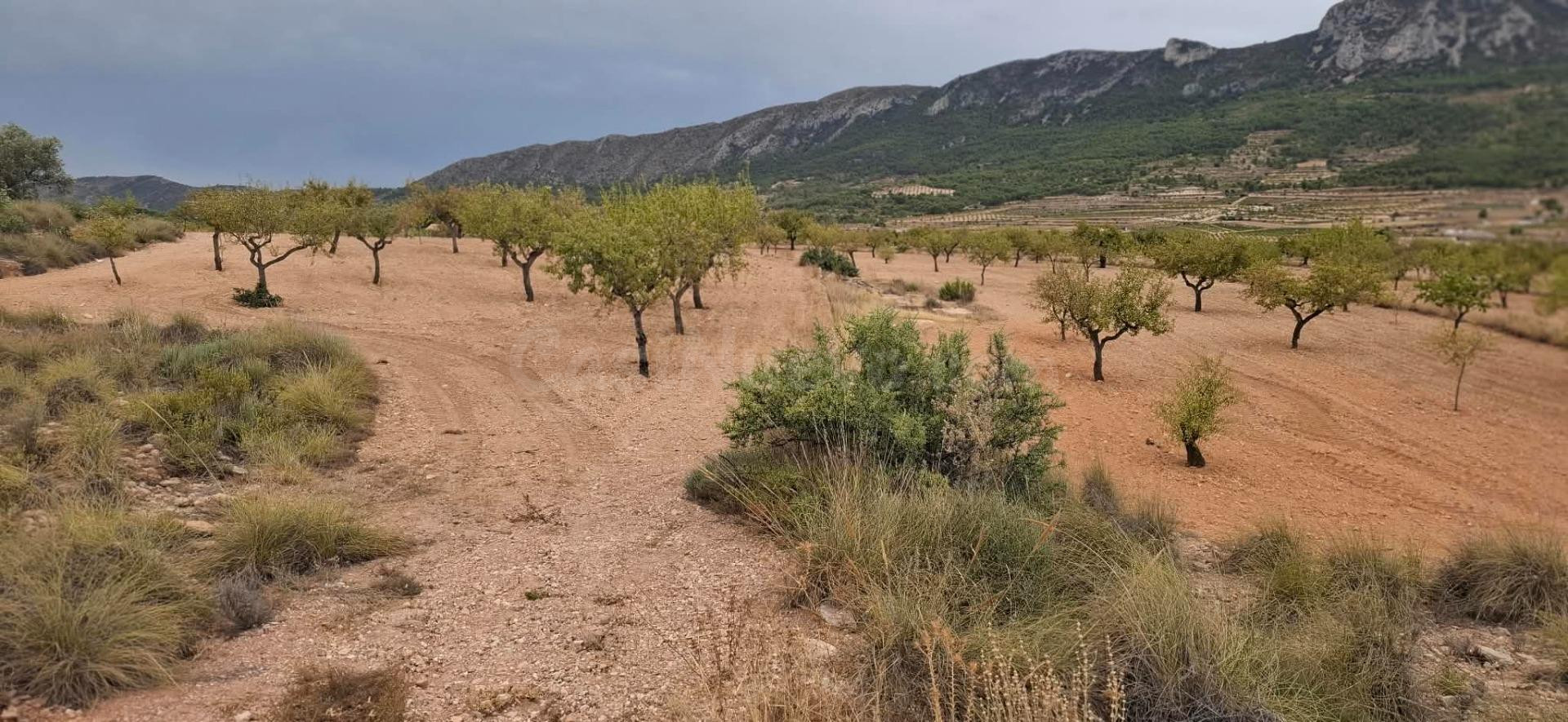 Oportunidad de Inversión en La Romana - Terreno Rústico con  - foto 5