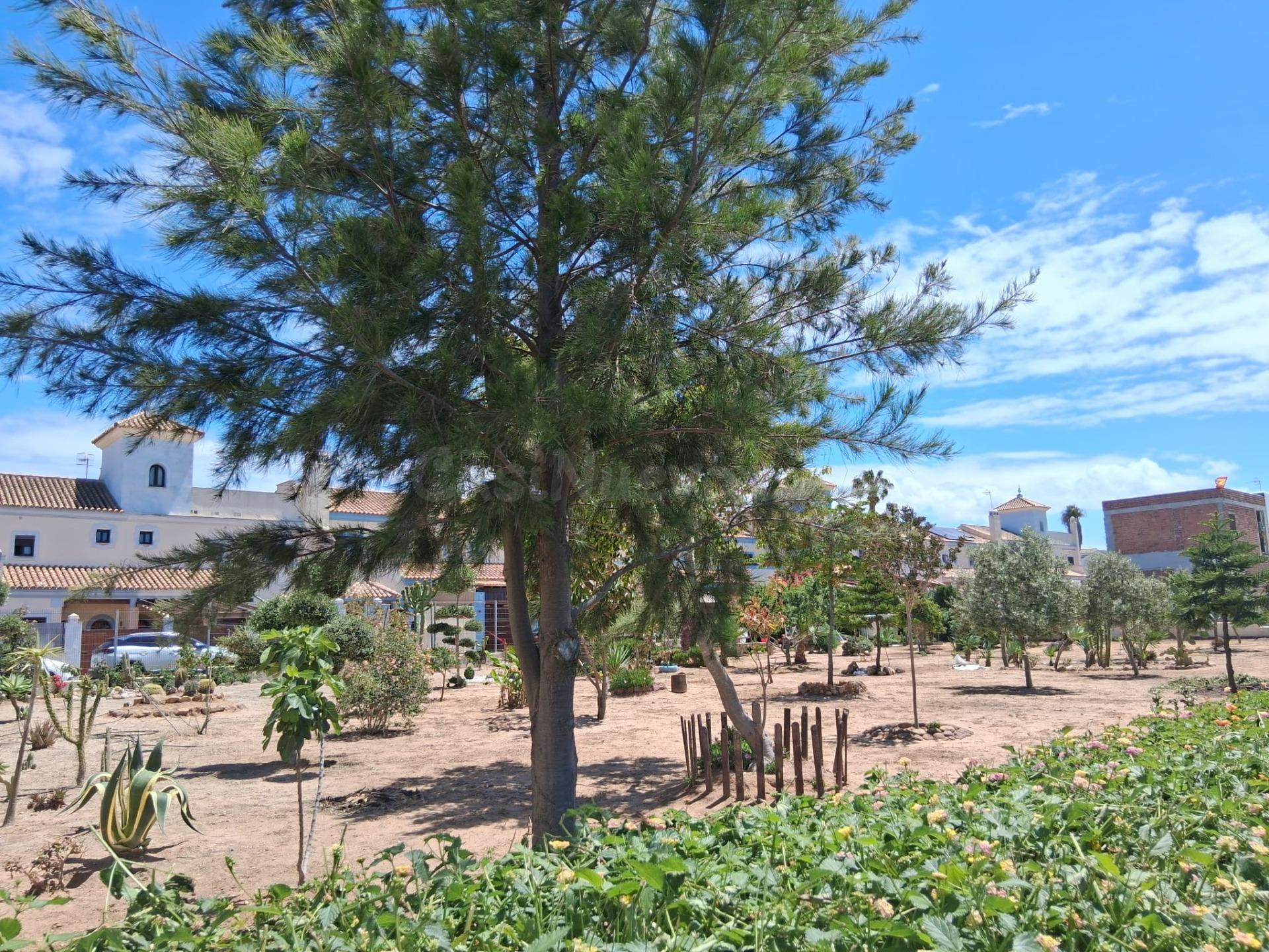 PARCELA URBANA ZONA JARA
