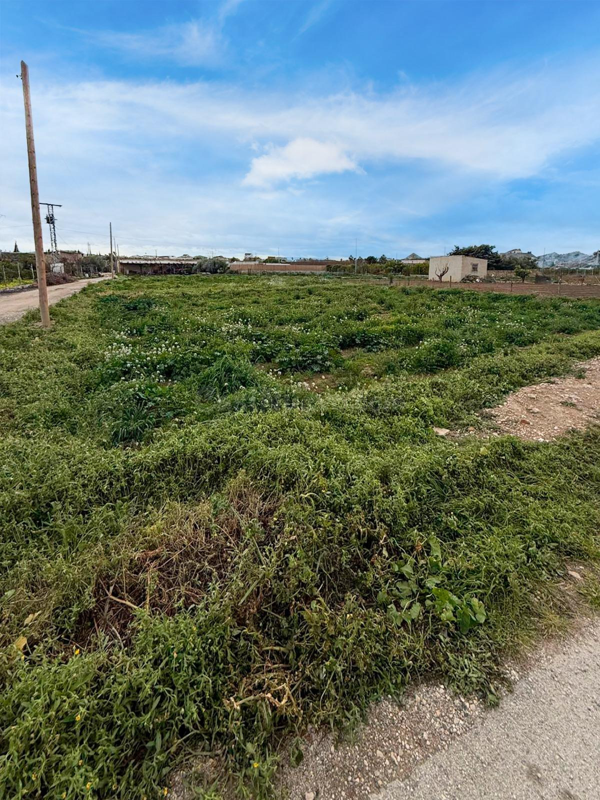 Oportunidad Única: Terreno Urbano en Archena - foto 3