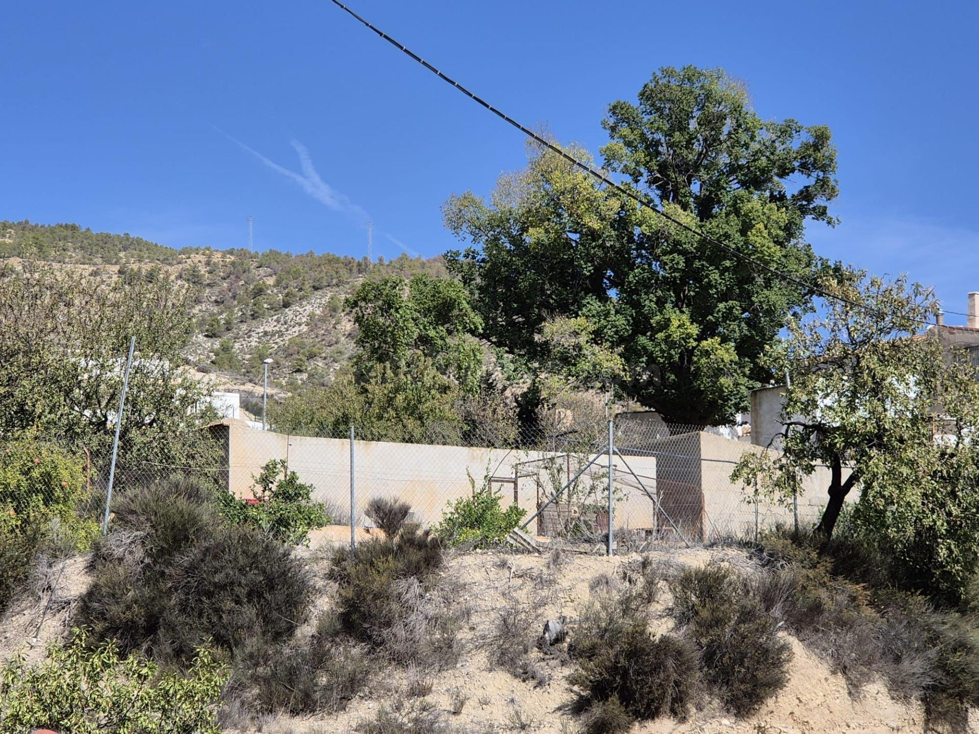 Encantadora Casa con Terreno en Fortuna – Ideal para Reforma