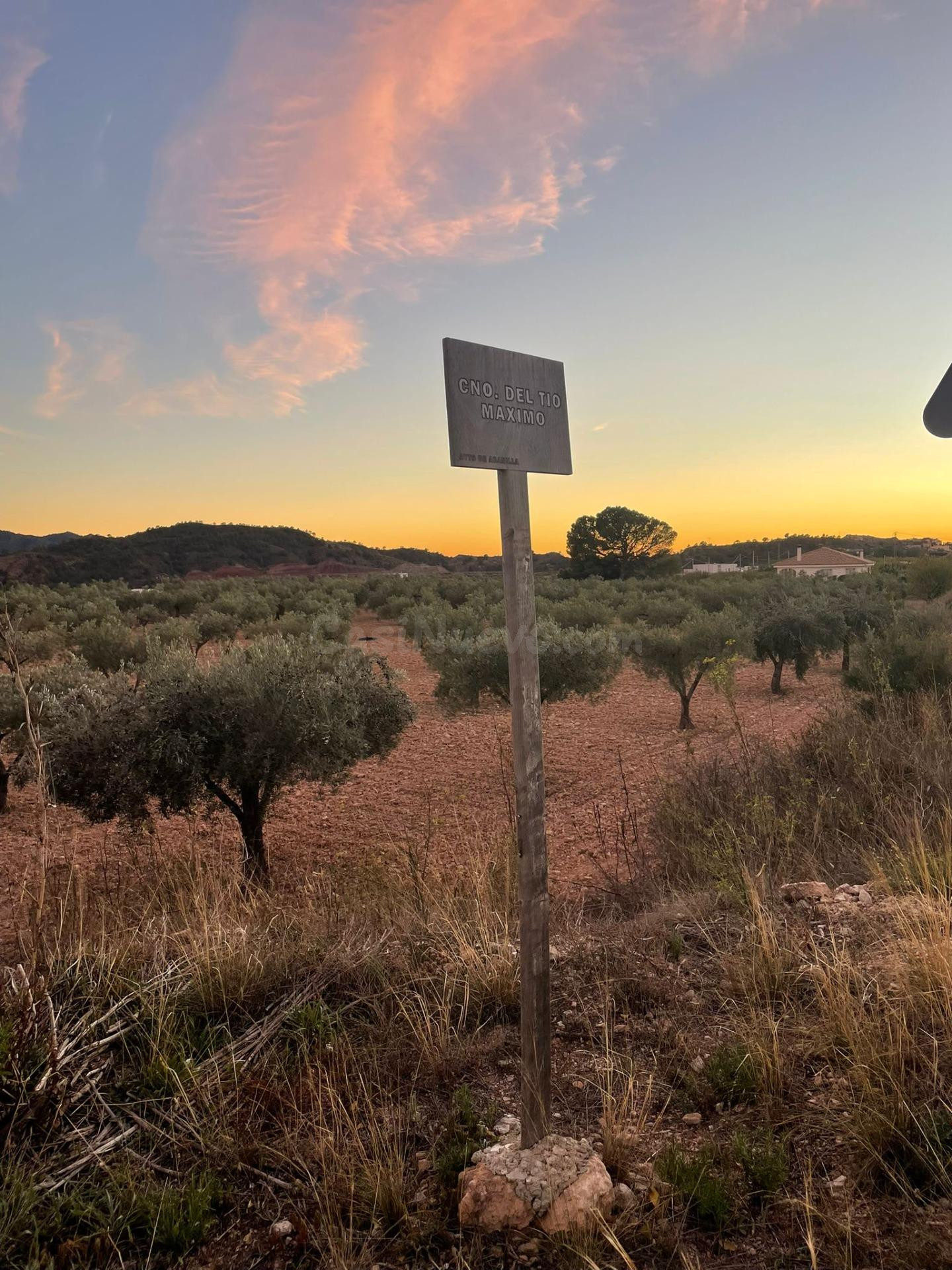 SENSACIONAL FINCA APTA PARA CONSTRUIR EN MACISVENDA