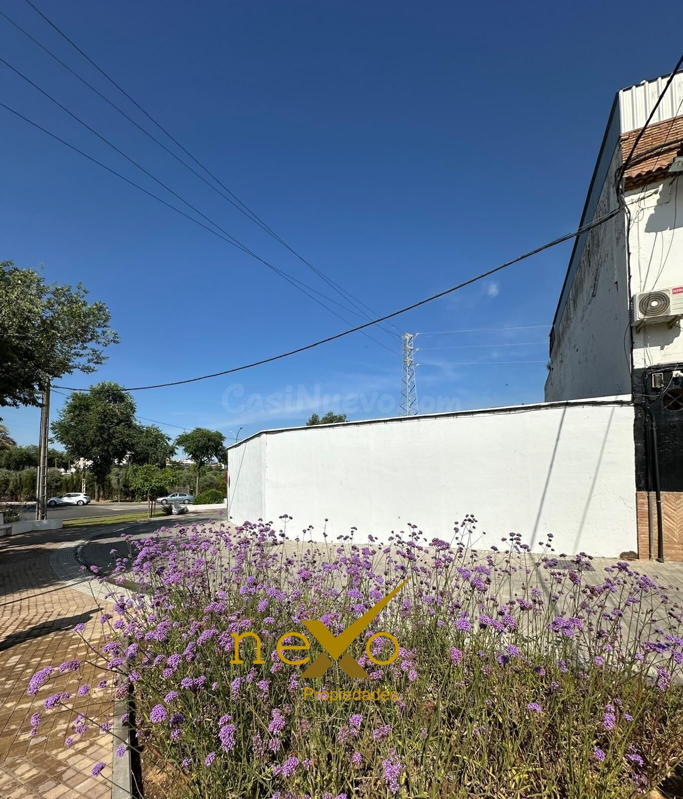 SOLAR CTRA. GUADAJOZ (CARMONA)