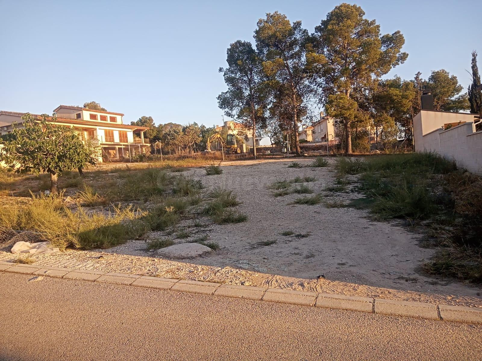 PARCELA DE 625 M2 EN SALINETAS ( Suelo urbano)