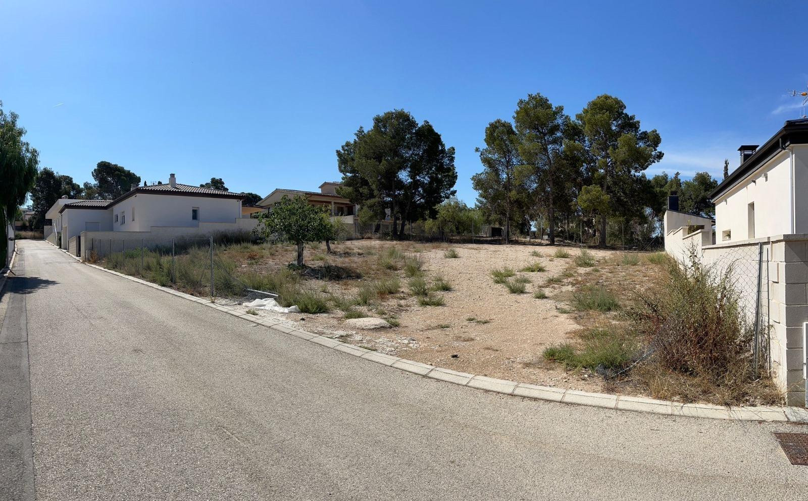 PARCELA DE 625 M2 EN SALINETAS ( Suelo urbano) - foto 2
