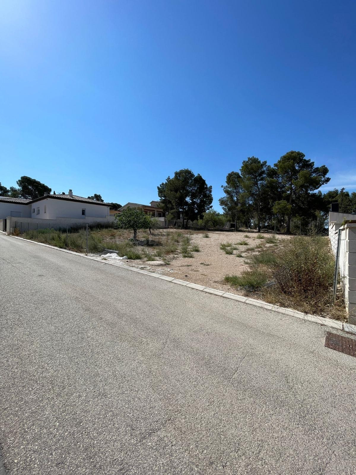PARCELA DE 625 M2 EN SALINETAS ( Suelo urbano) - foto 3