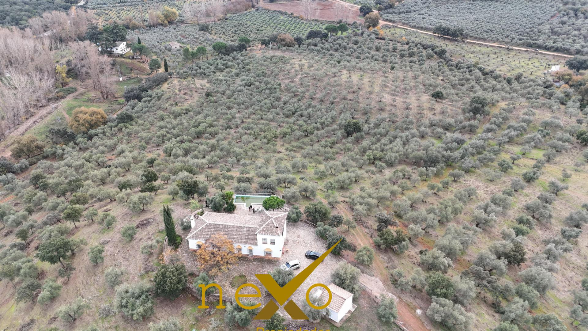 FINCA RUSTICA LAS NAVAS DE LA CONCEPCION - foto 3