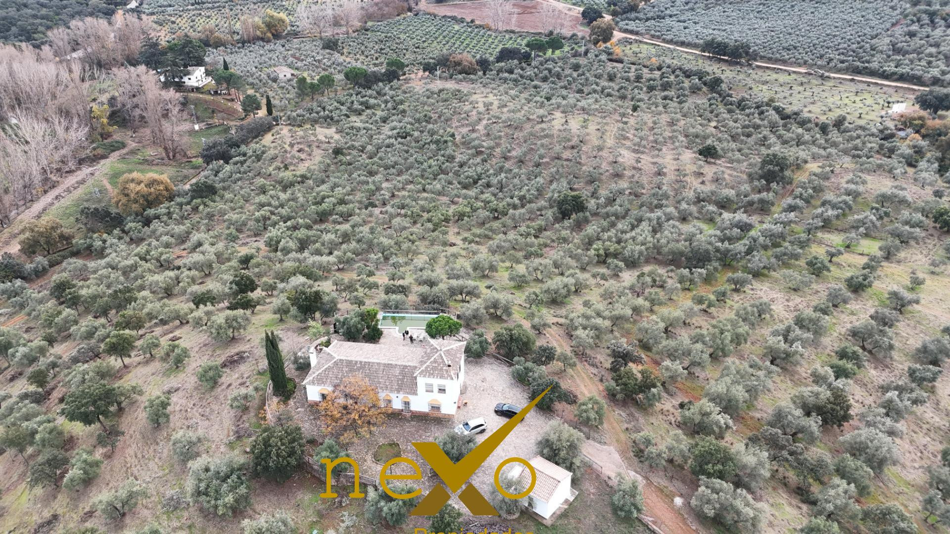 FINCA RUSTICA LAS NAVAS DE LA CONCEPCION - foto 5