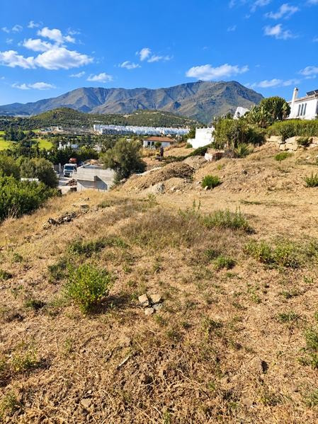 OPORTUNIDAD VENTA PARCELA URBANA EN VALLE ROMANO CON PROYECT - foto 5