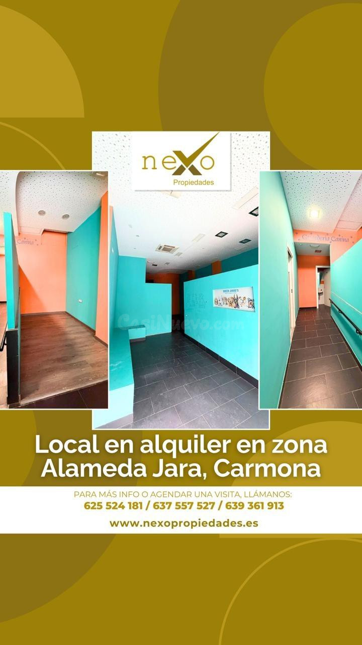 LOCAL ALQUILER ALAMEDA JARA