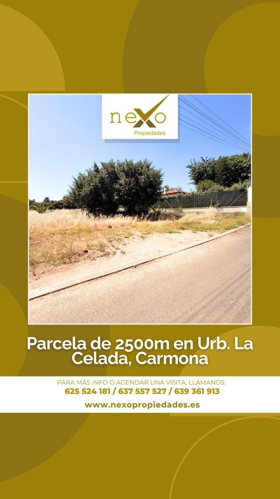 PARCELA A CONSTRUIR EN URBANIZACION LA CELADA (CARMONA)