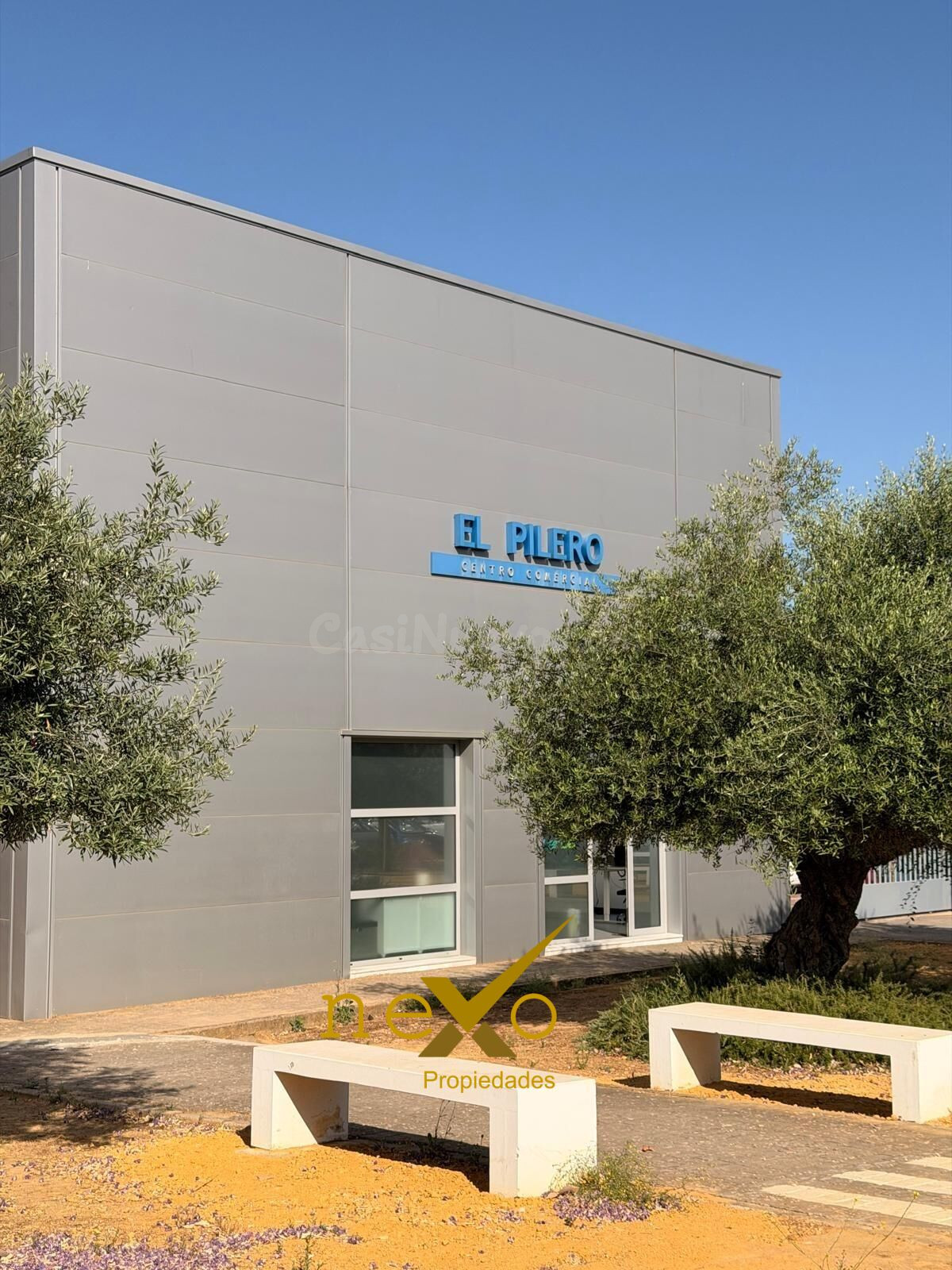 OFICINA 55m2 P.I. EL PILERO