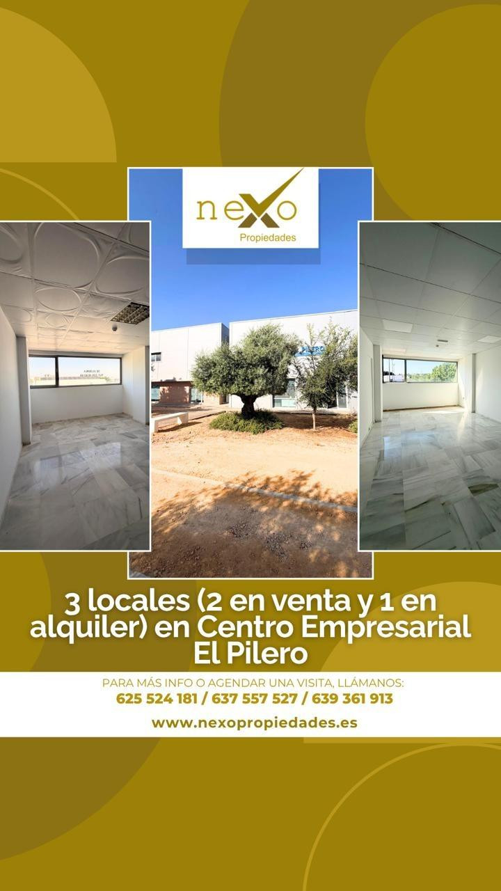 OFICINA P.I. EL PILERO 62m2