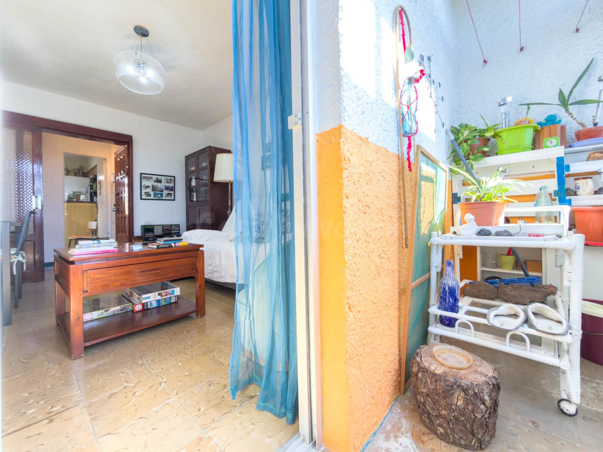 PISO DE 3 habitaciones EN EL CARDONAL – LA LAGUNA - foto 5