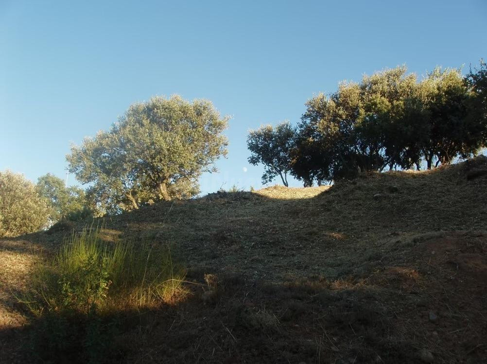 Terreno urbano en venta - URB NUEVO MESONES - foto 3