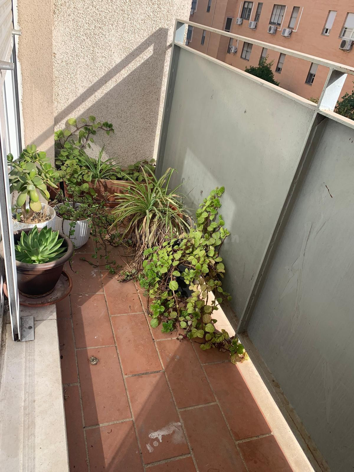 Piso en venta de cuatro dormitorios con plaza de garaje y tr - foto 2