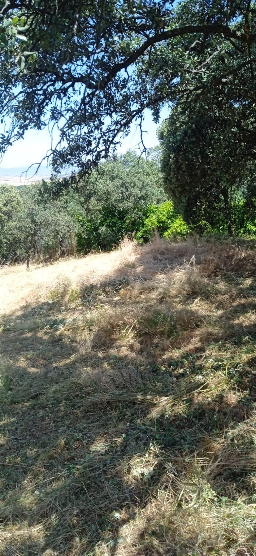 Terreno urbano 1223m² en venta - Urb.Las Colinas - foto 2
