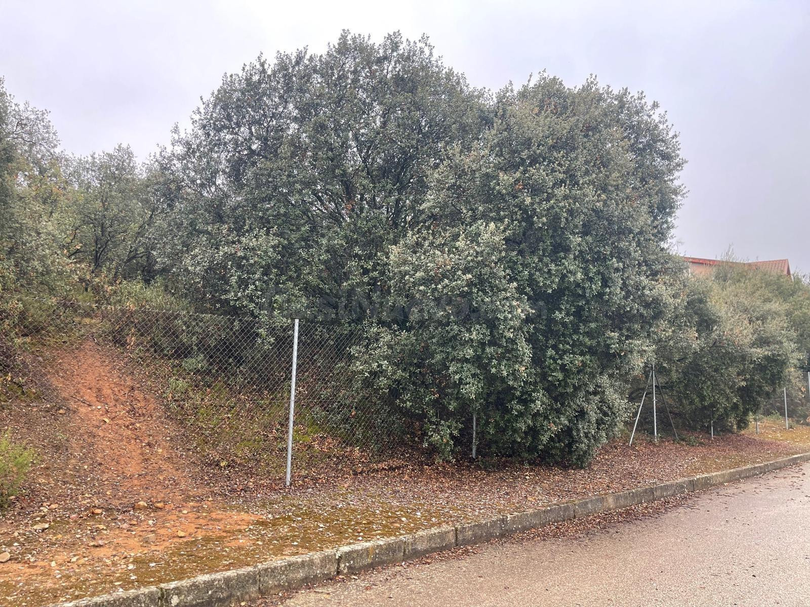 Terreno urbano en venta - Castilla la mancha - foto 3