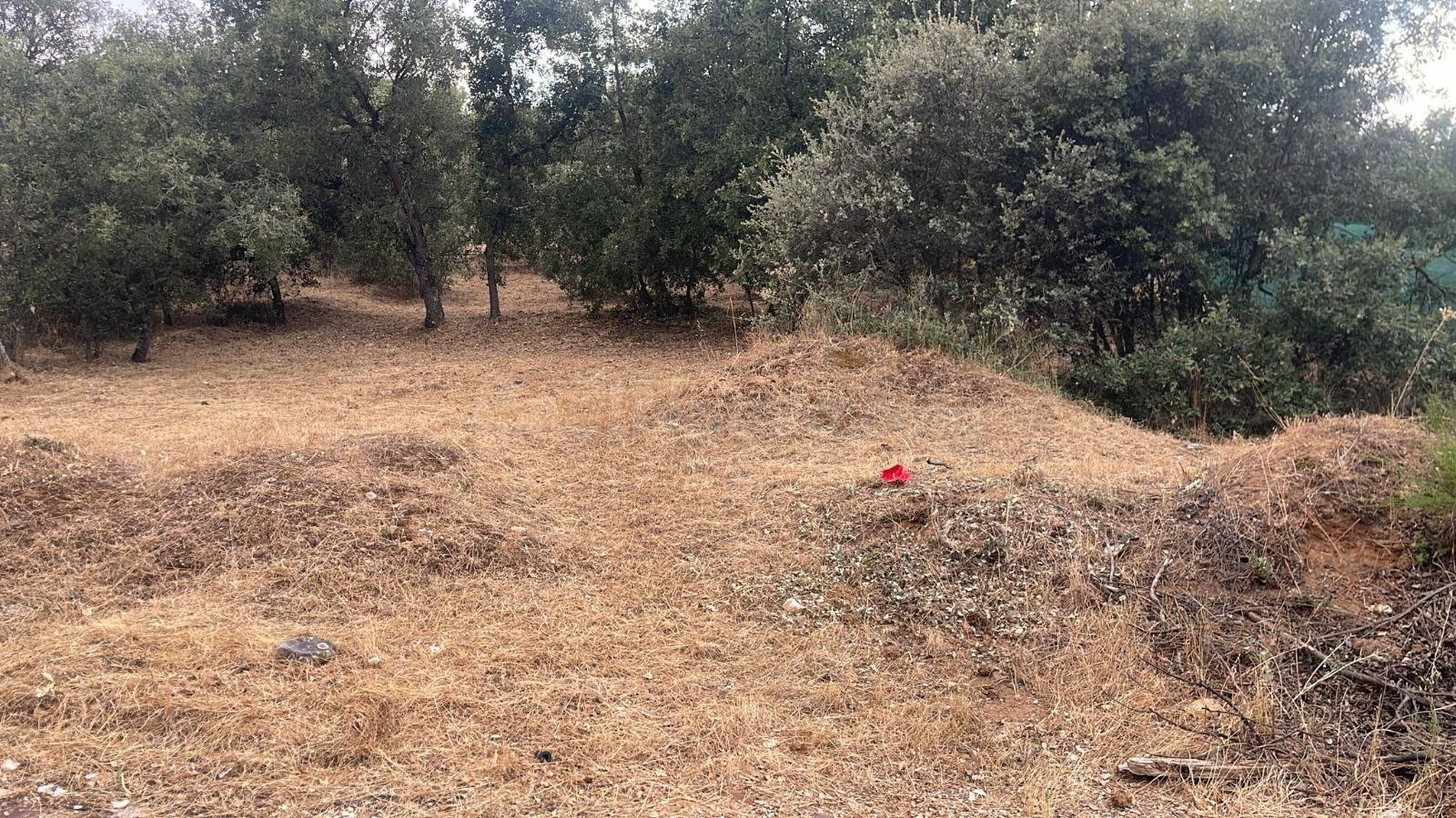 Terreno urbano en venta - Mesones - foto 2