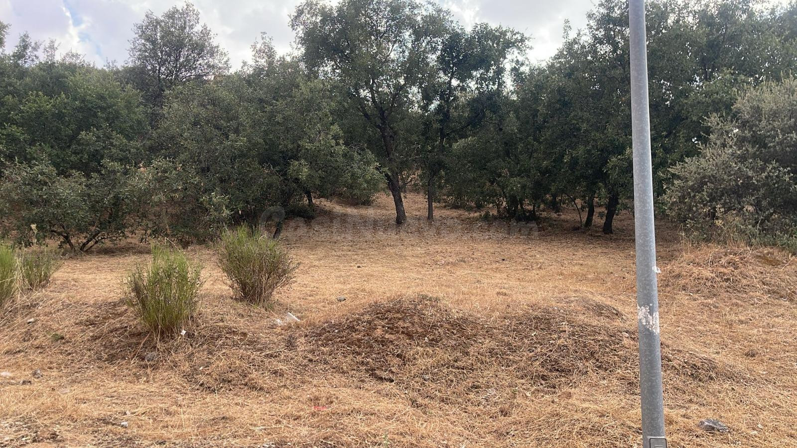Terreno urbano en venta - Mesones - foto 3