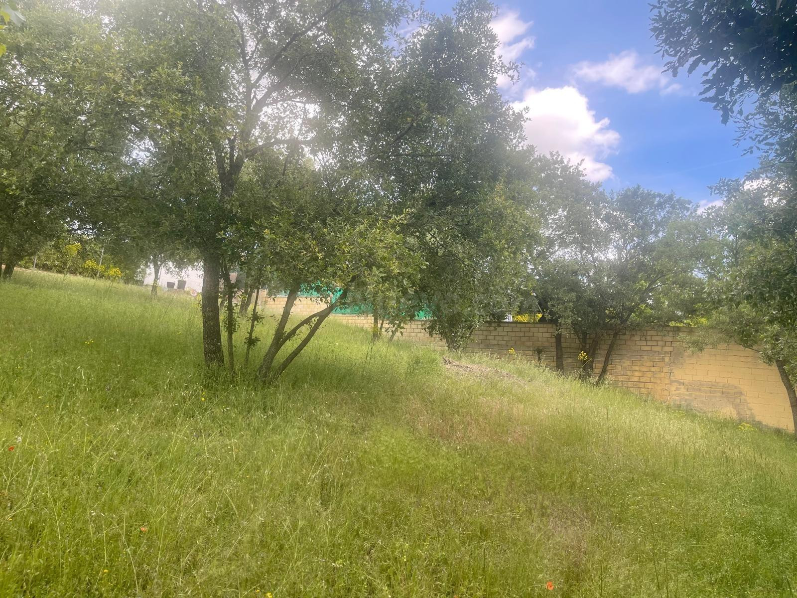 Terreno urbano en venta - Castilla la mancha - foto 3