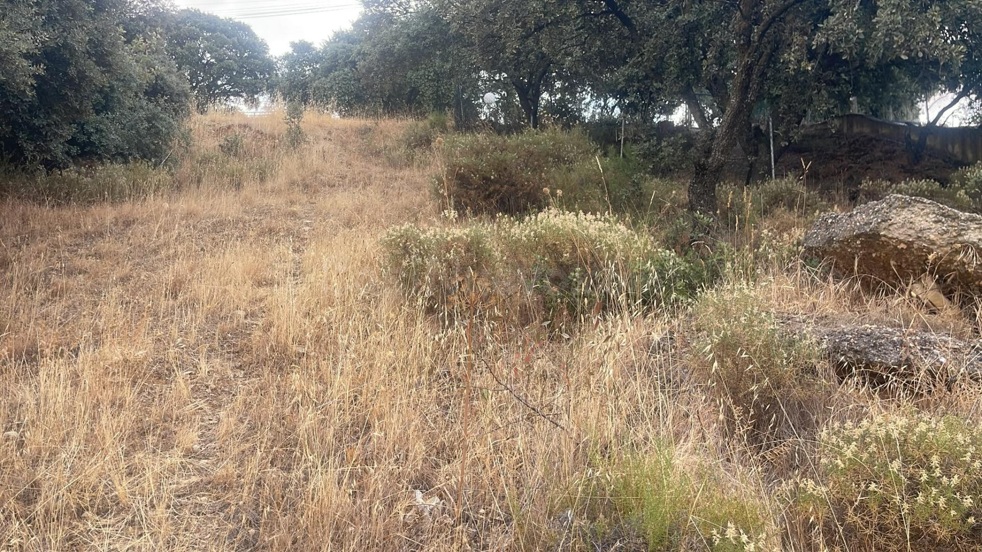 Terreno urbano en venta - Castilla la mancha - foto 4