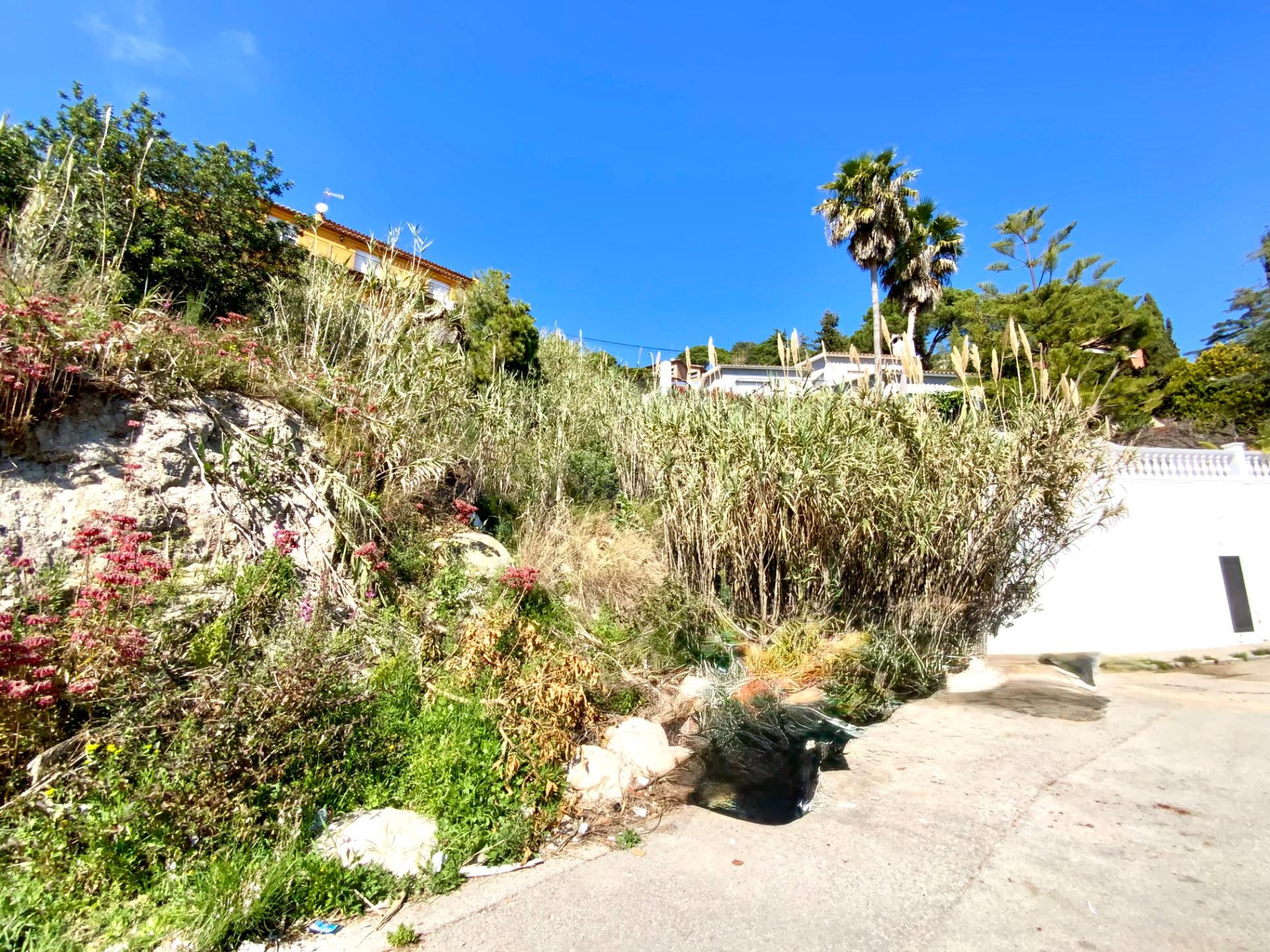 Parcela urbana en La Cisa con vistas al mar y proyecto para  - foto 4