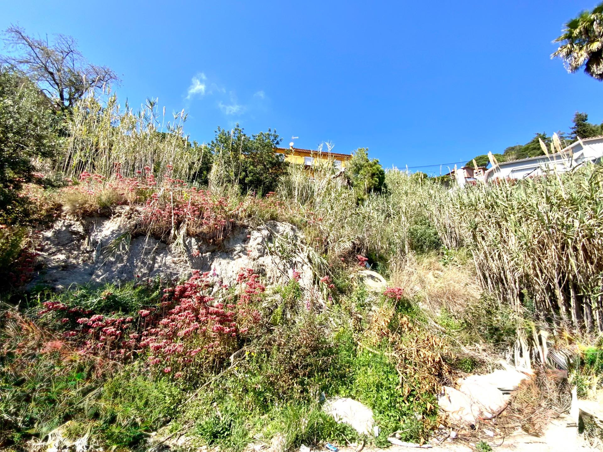 Parcela urbana en La Cisa con vistas al mar y proyecto para  - foto 5
