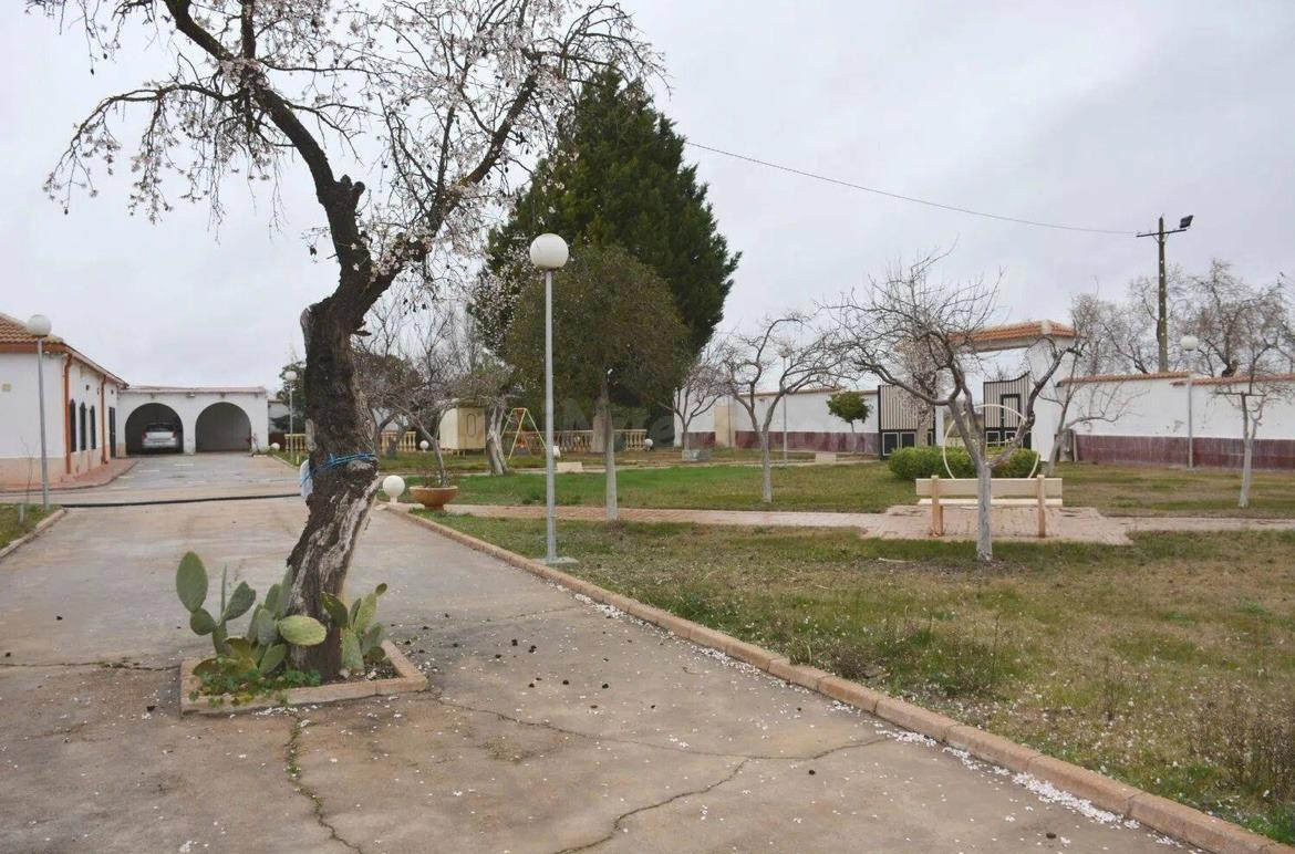 Venta: Amplia Finca: Terreno Rural en Pozuelo de Calatrava, 