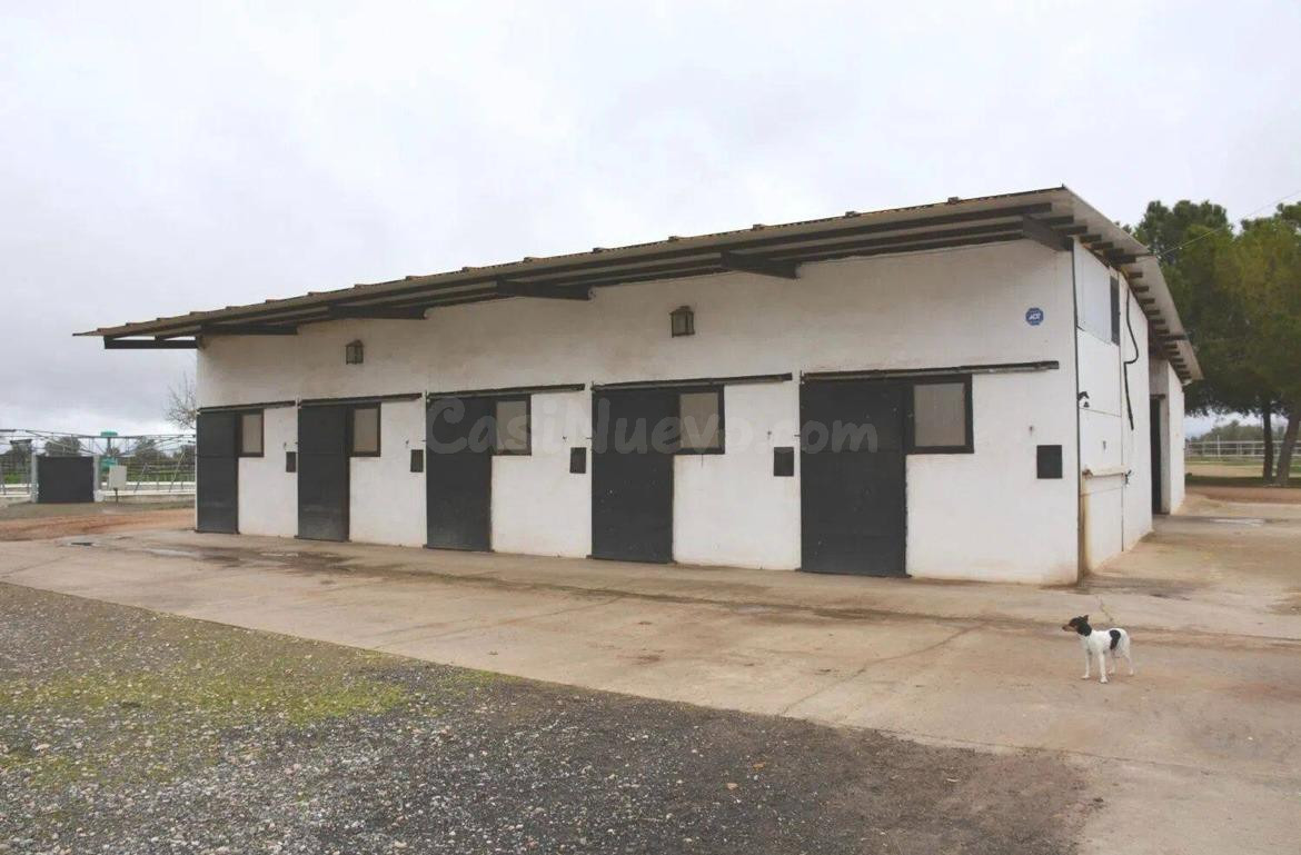 Venta: Amplia Finca: Terreno Rural en Pozuelo de Calatrava,  - foto 2