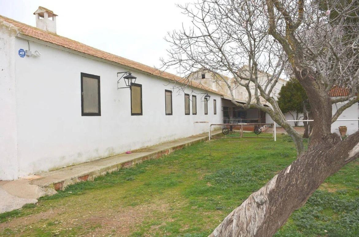 Venta: Amplia Finca: Terreno Rural en Pozuelo de Calatrava,  - foto 5