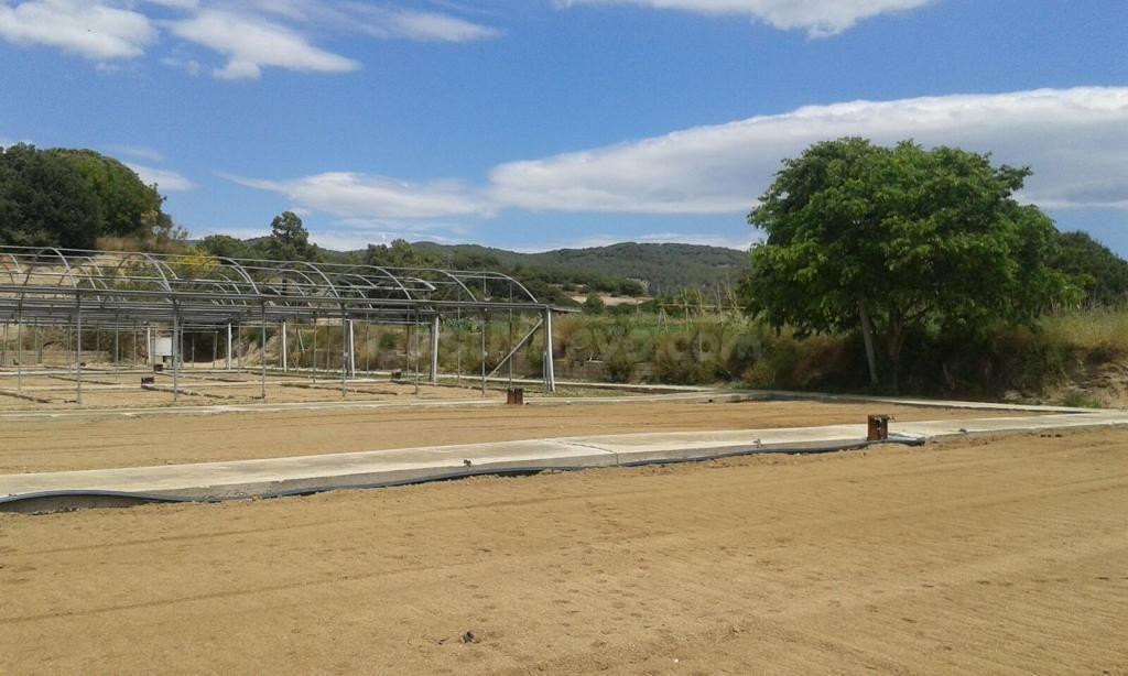 TERRENO RUSTICO CON USO PRINCIPAL AGRARIO EN VENTA EN ARENYS - foto 2