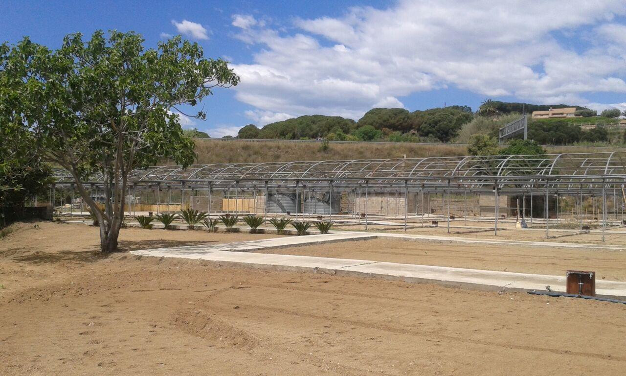 TERRENO RUSTICO CON USO PRINCIPAL AGRARIO EN VENTA EN ARENYS - foto 3