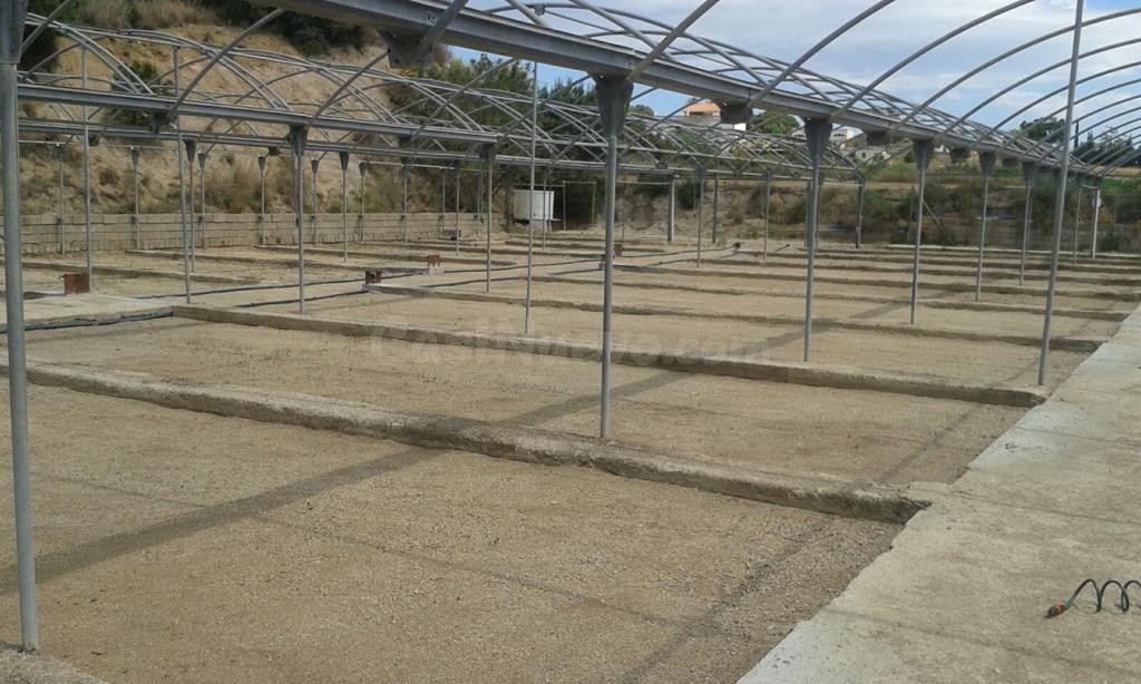 TERRENO RUSTICO CON USO PRINCIPAL AGRARIO EN VENTA EN ARENYS - foto 4