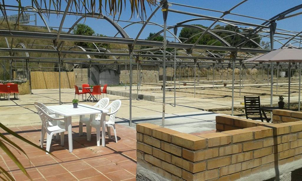 TERRENO RUSTICO CON USO PRINCIPAL AGRARIO EN VENTA EN ARENYS - foto 5
