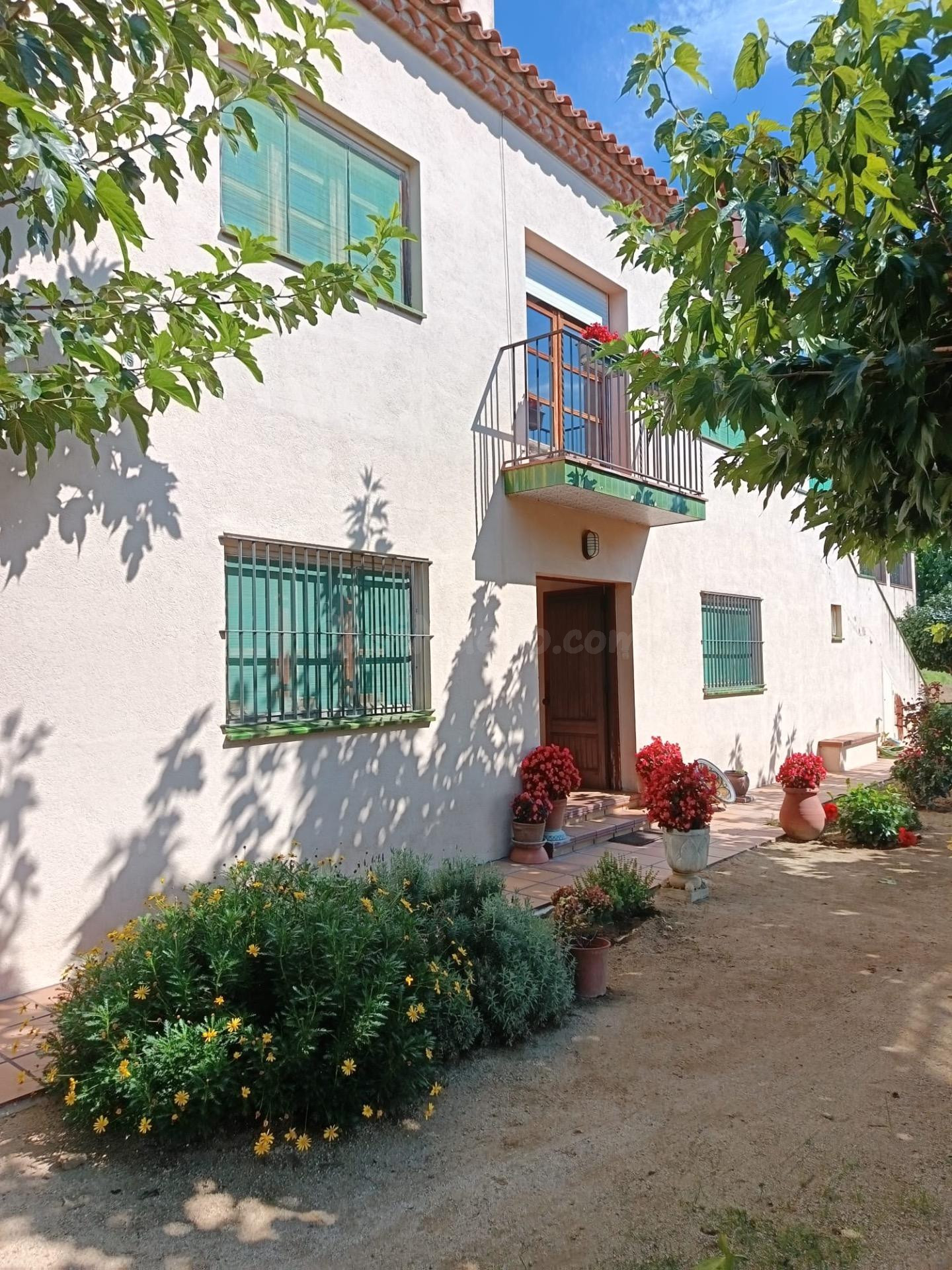 FINCA AGRARIA DE 23.000 M2 CON CASA DE 641M2 A LA VENTA EN A - foto 3