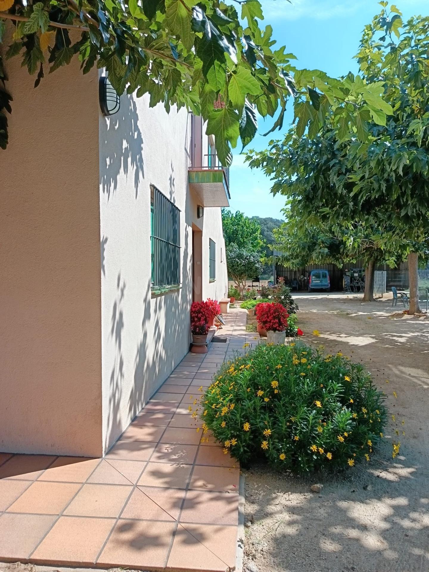FINCA AGRARIA DE 23.000 M2 CON CASA DE 641M2 A LA VENTA EN A - foto 4