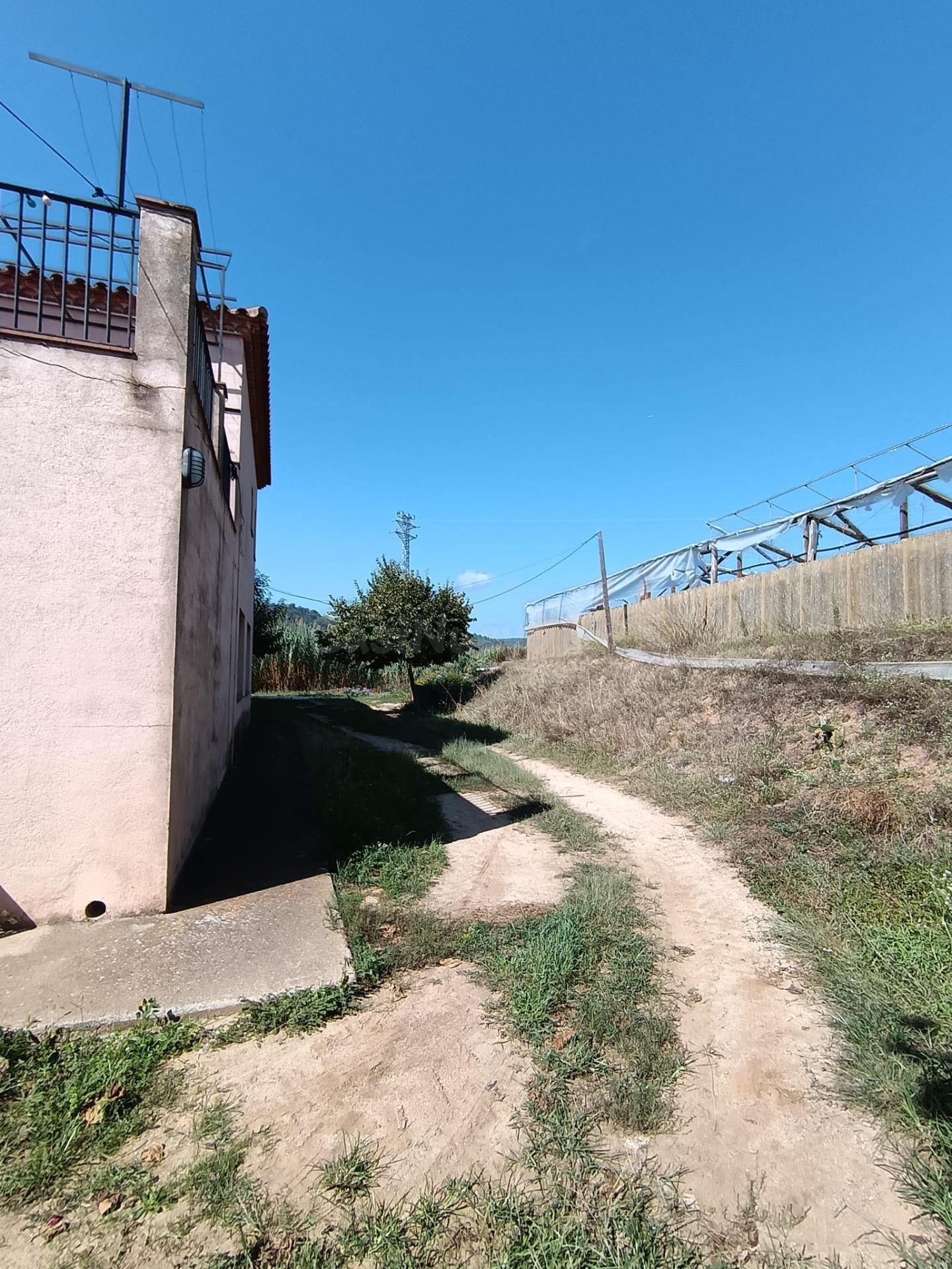FINCA AGRARIA DE 23.000 M2 CON CASA DE 641M2 A LA VENTA EN A - foto 5