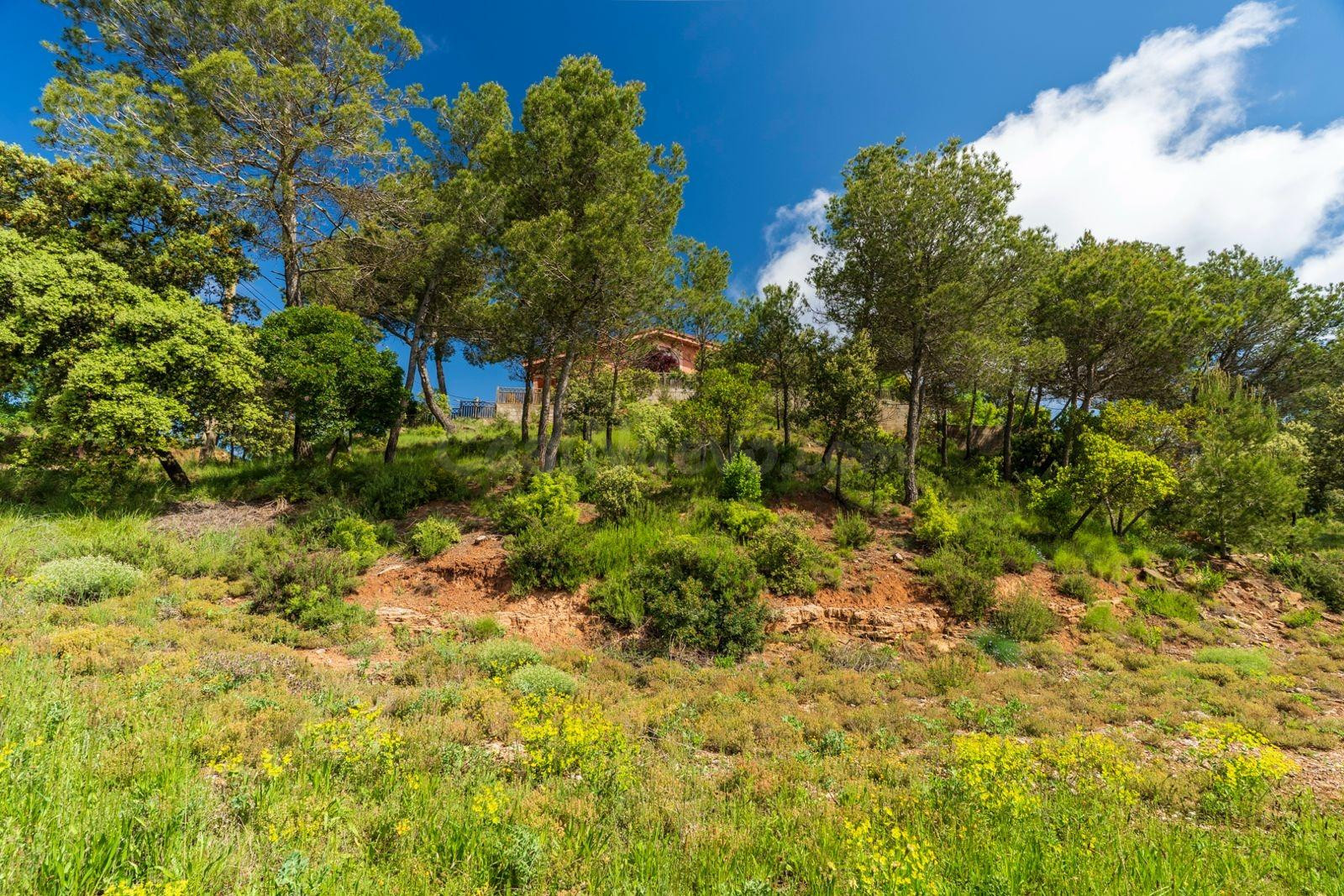 REF AAS 1057 Terreno  en Castellnou de Bages (La FIgueroa) - foto 2