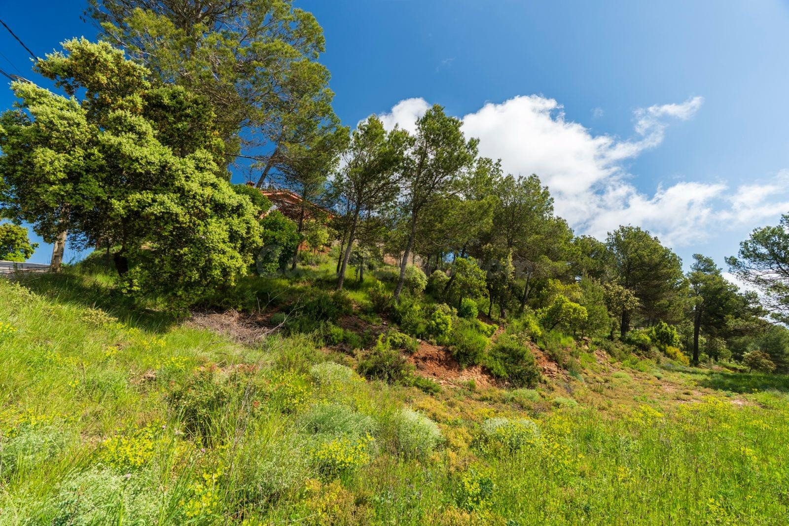 REF AAS 1057 Terreno  en Castellnou de Bages (La FIgueroa) - foto 3