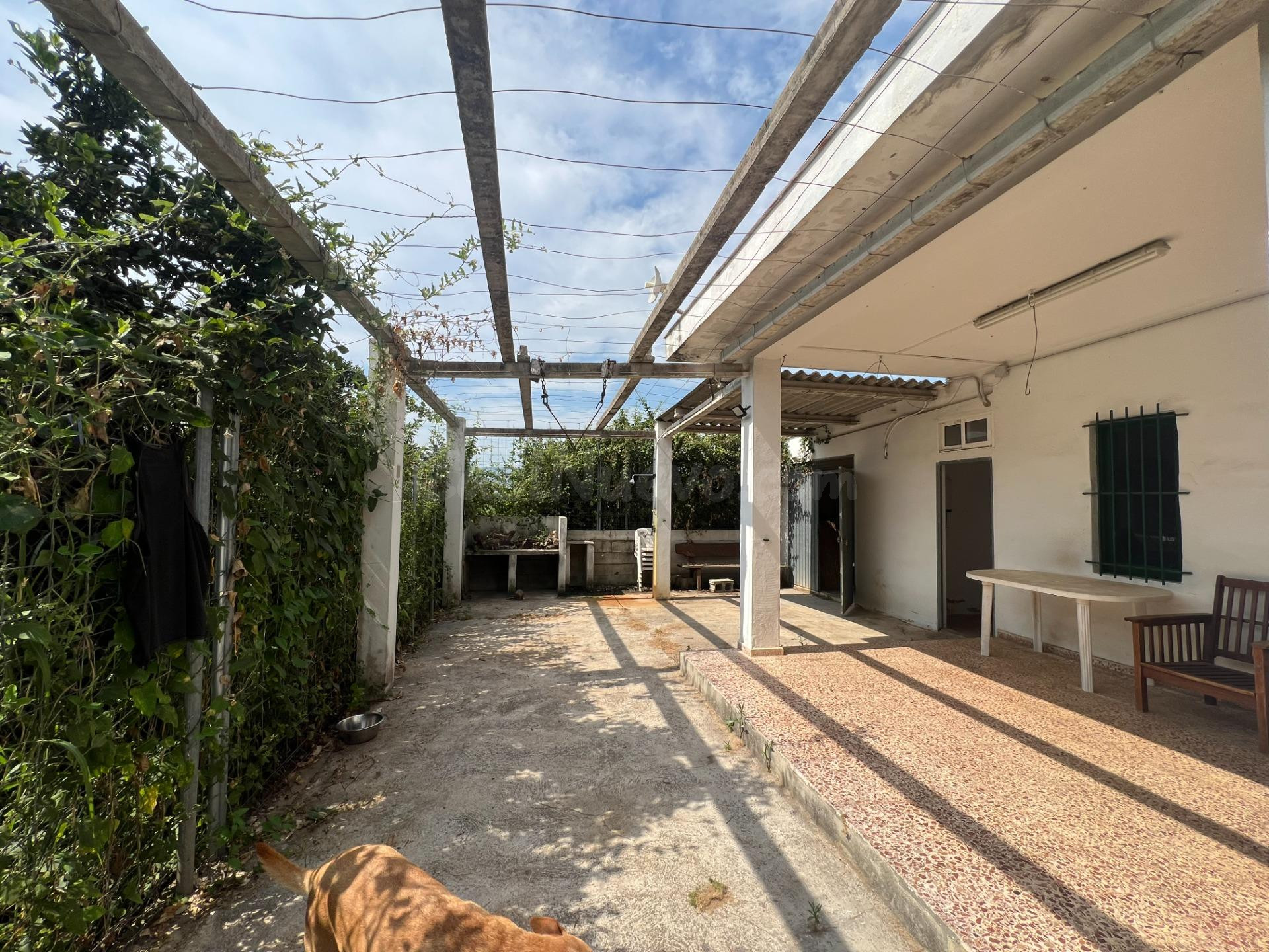 Encantadora casa con amplio terreno en La Racona, Cullera - foto 2