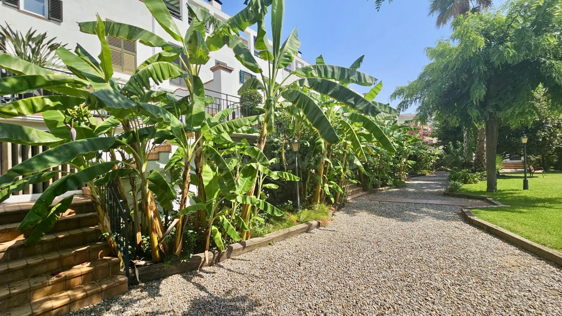 CASA EN EL CENTRO DE CALELLA CON ESPECTACULAR ZONA COMUNITAR - foto 4