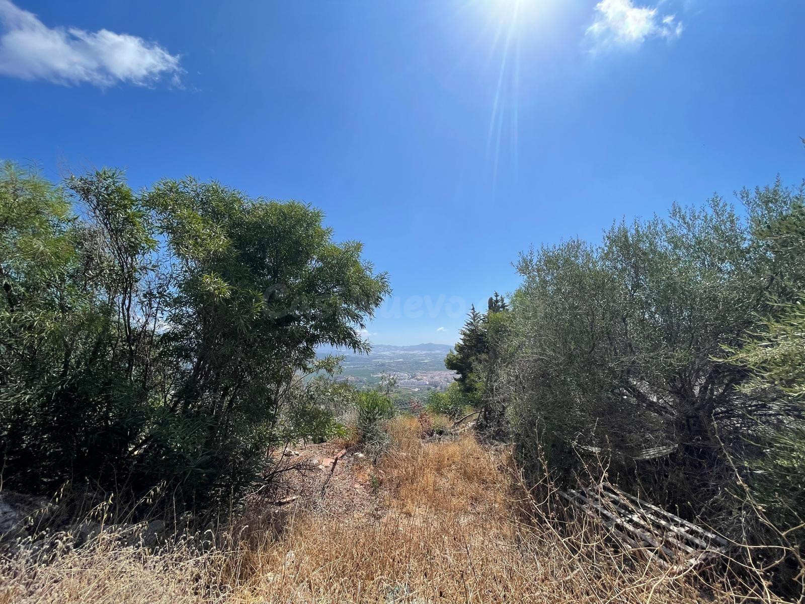Terreno urbano en venta - Monte los Almendros - El Pargo - C - foto 3