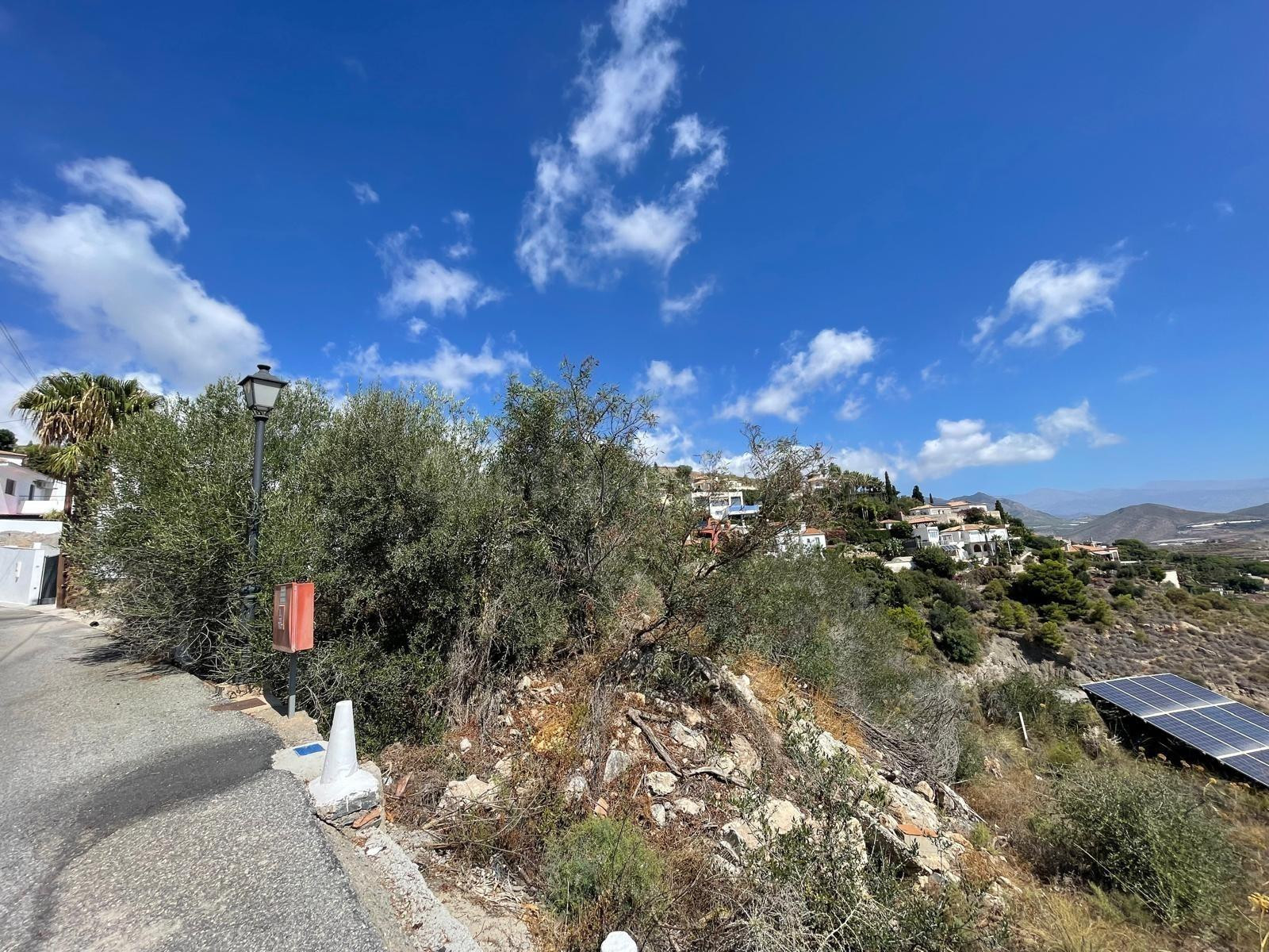 Terreno urbano en venta - Monte los Almendros - El Pargo - C - foto 4